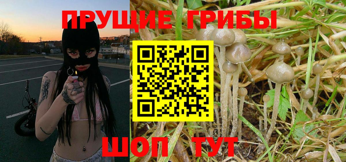 Псилоцибиновые грибы Psilocybe  Вход с VPN  Галлюциногенные грибы ЛСД  Керчь 