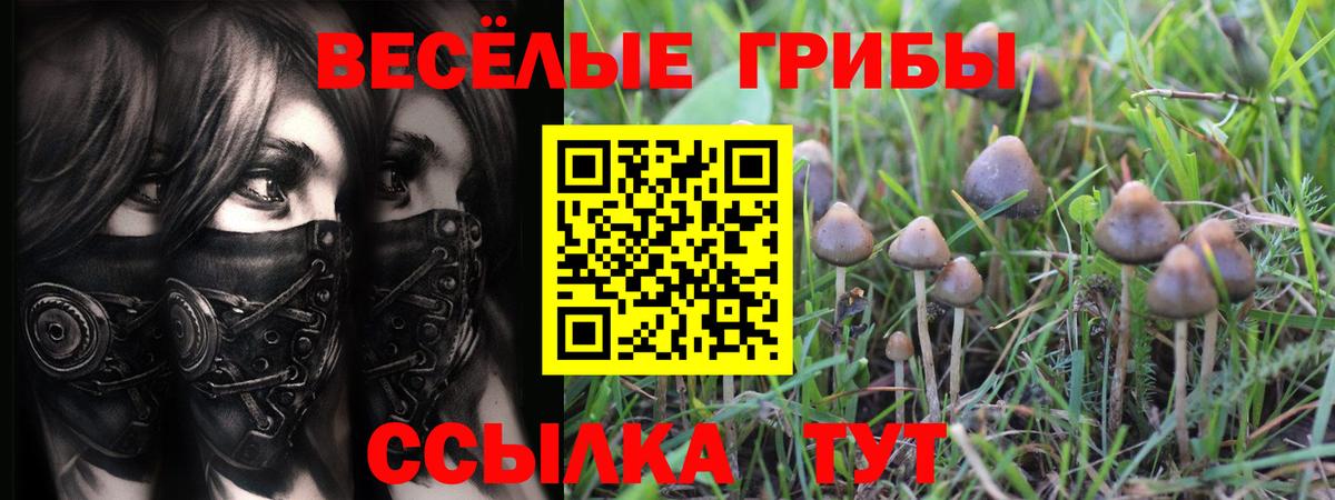 Псилоцибиновые грибы Magic Shrooms Керчь